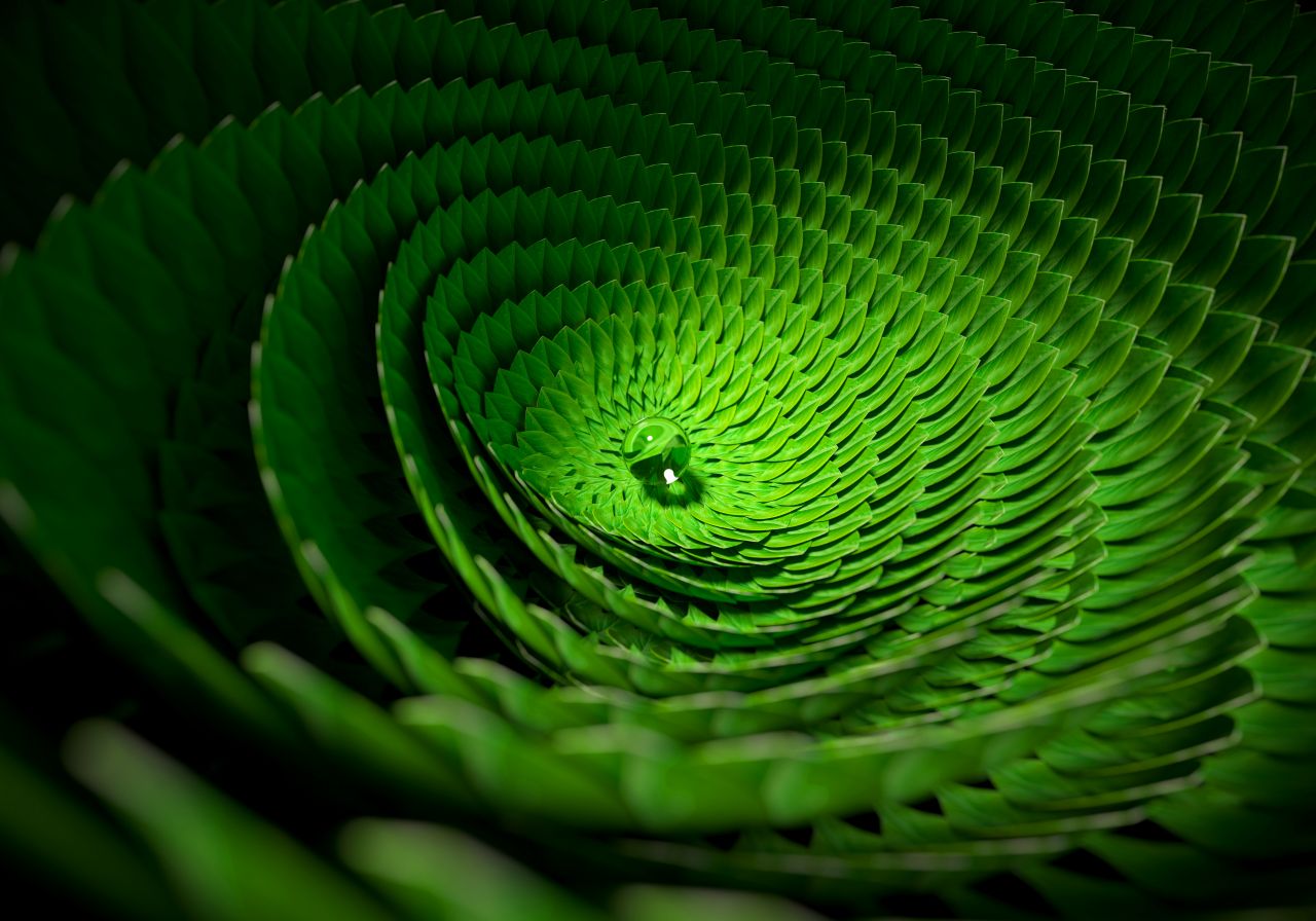 A close up of a green leaf