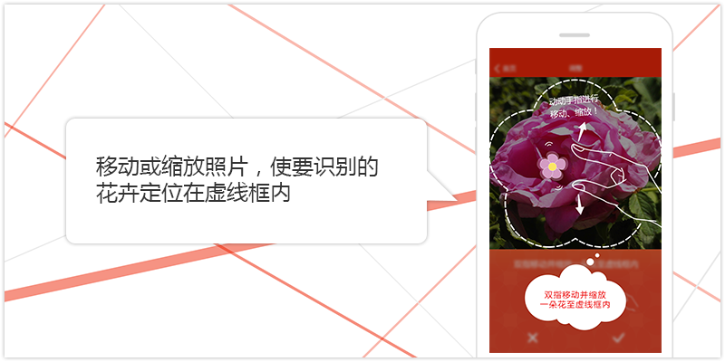 image_c_3