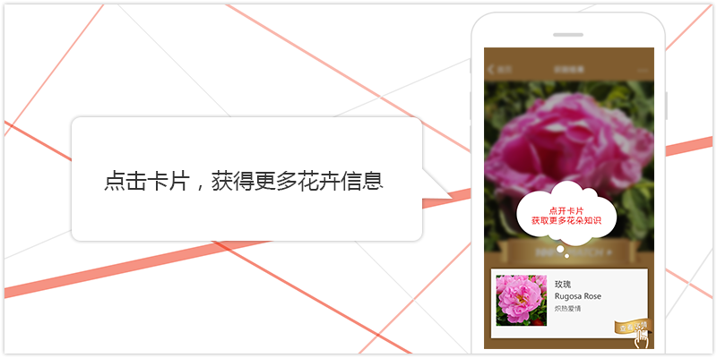 image_c_5