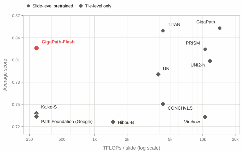 Figure 2: Efficiency–performance trade-off on whole-slide benchmarks. GigaPath-Flash (red, top-left) achieves competitive performance at substantially lower computational cost than other whole-slide pretrained models.